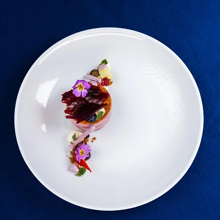 酒店 Kitchen59 索菲亞